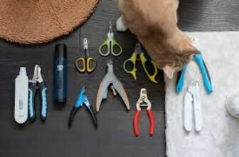 Coupe-ongles pour chien et chat