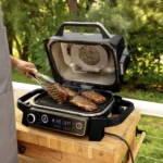 Comparatif Ninja Woodfire 2048x1365 1