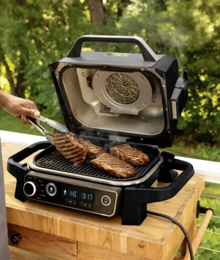 Comparatif Ninja Woodfire 2048x1365 1