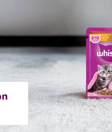 Recevez gratuitement un echantillon WHISKAS