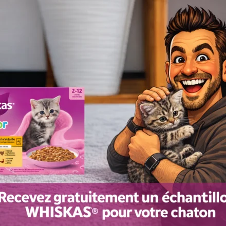 Recevez gratuitement un échantillon WHISKAS® pour votre chaton Recevez gratuitement un echantillon WHISKAS® pour votre chaton